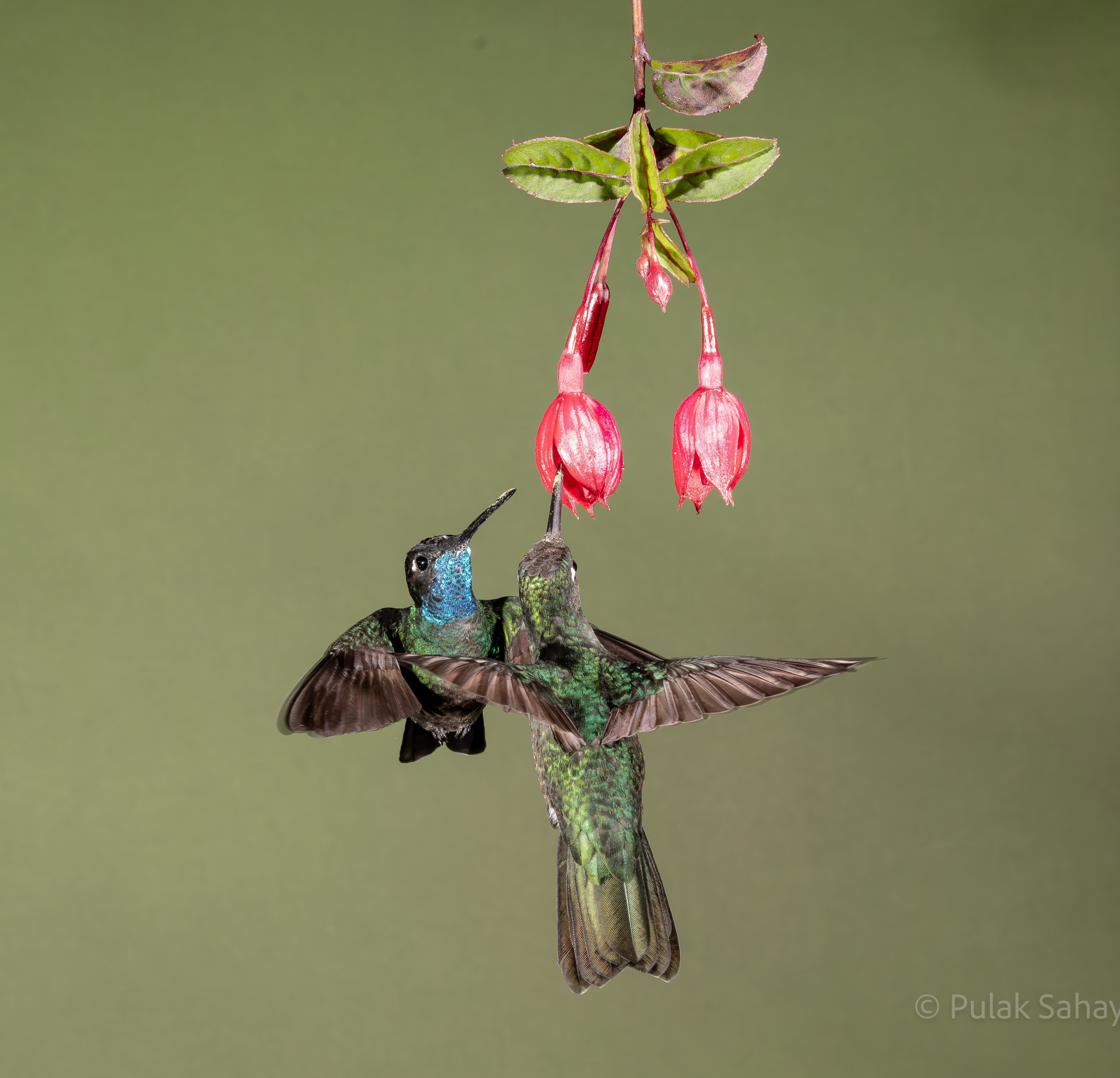 Move off I was here first